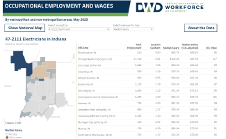 OEWS metro viz